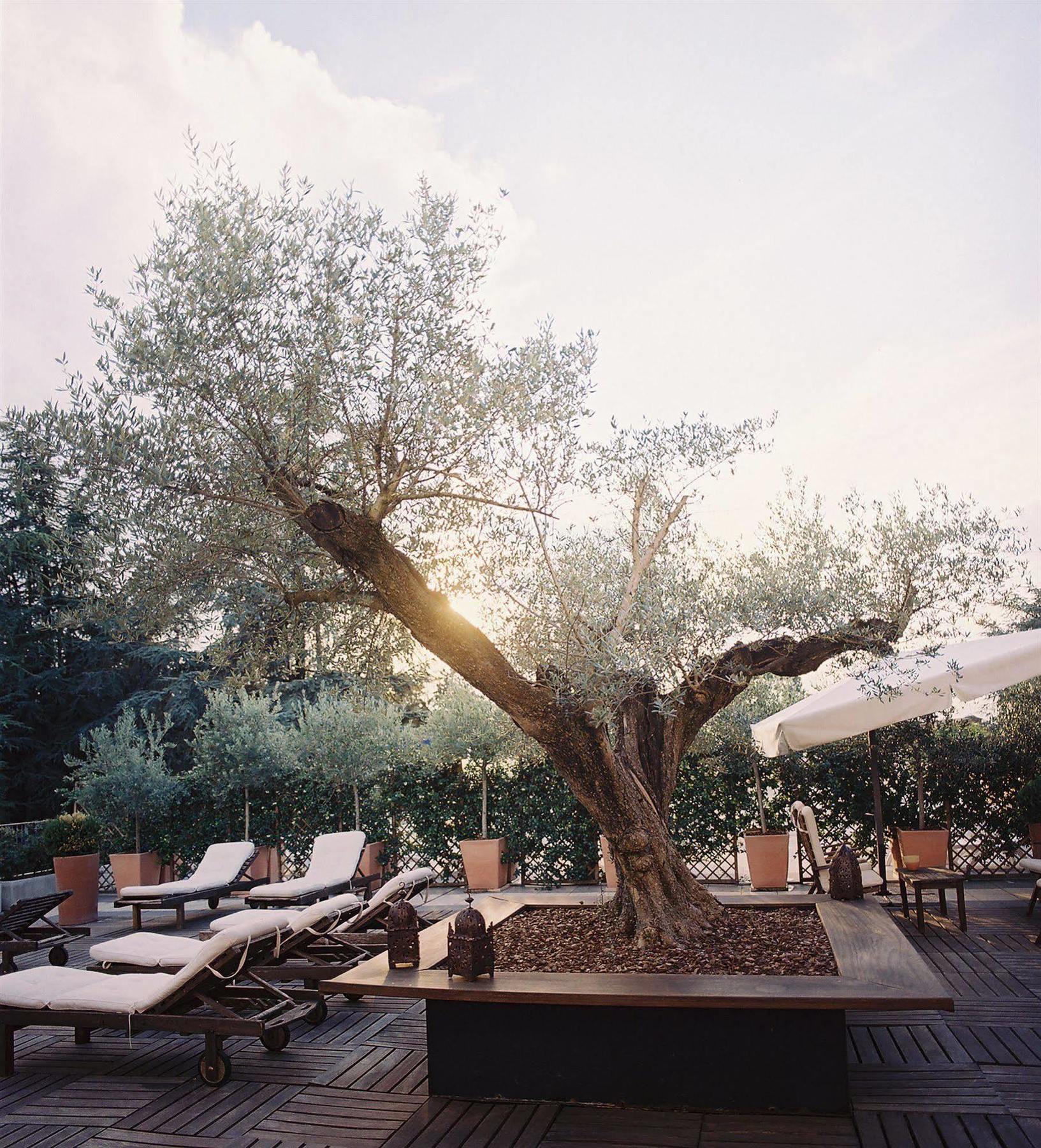 Hotel Terme มอนติเชลลี แตร์เม ภายนอก รูปภาพ